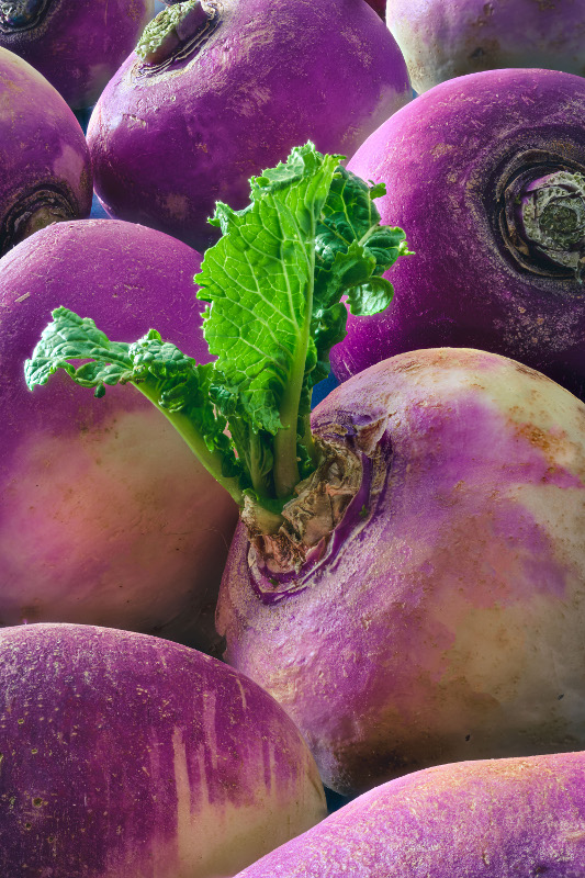 Turnips Howard Shooter Prints